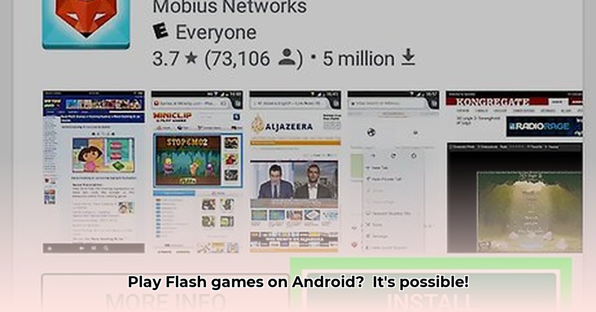 flashfox-flash-browser